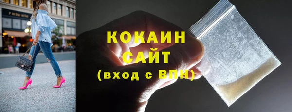 ешки Алексин