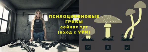 ALPHA-PVP Алексеевка