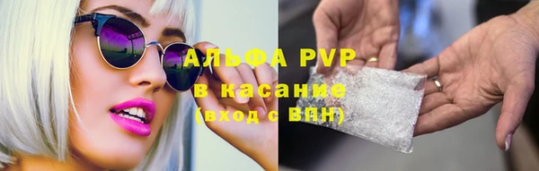 сатива Алзамай