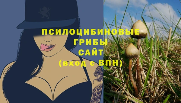 сатива Алзамай