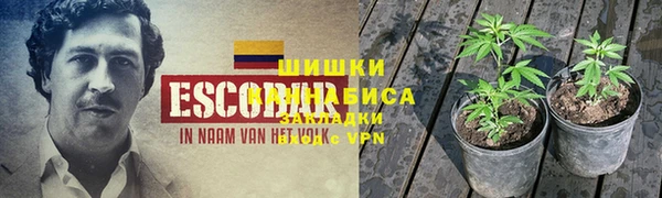 ешки Алексин